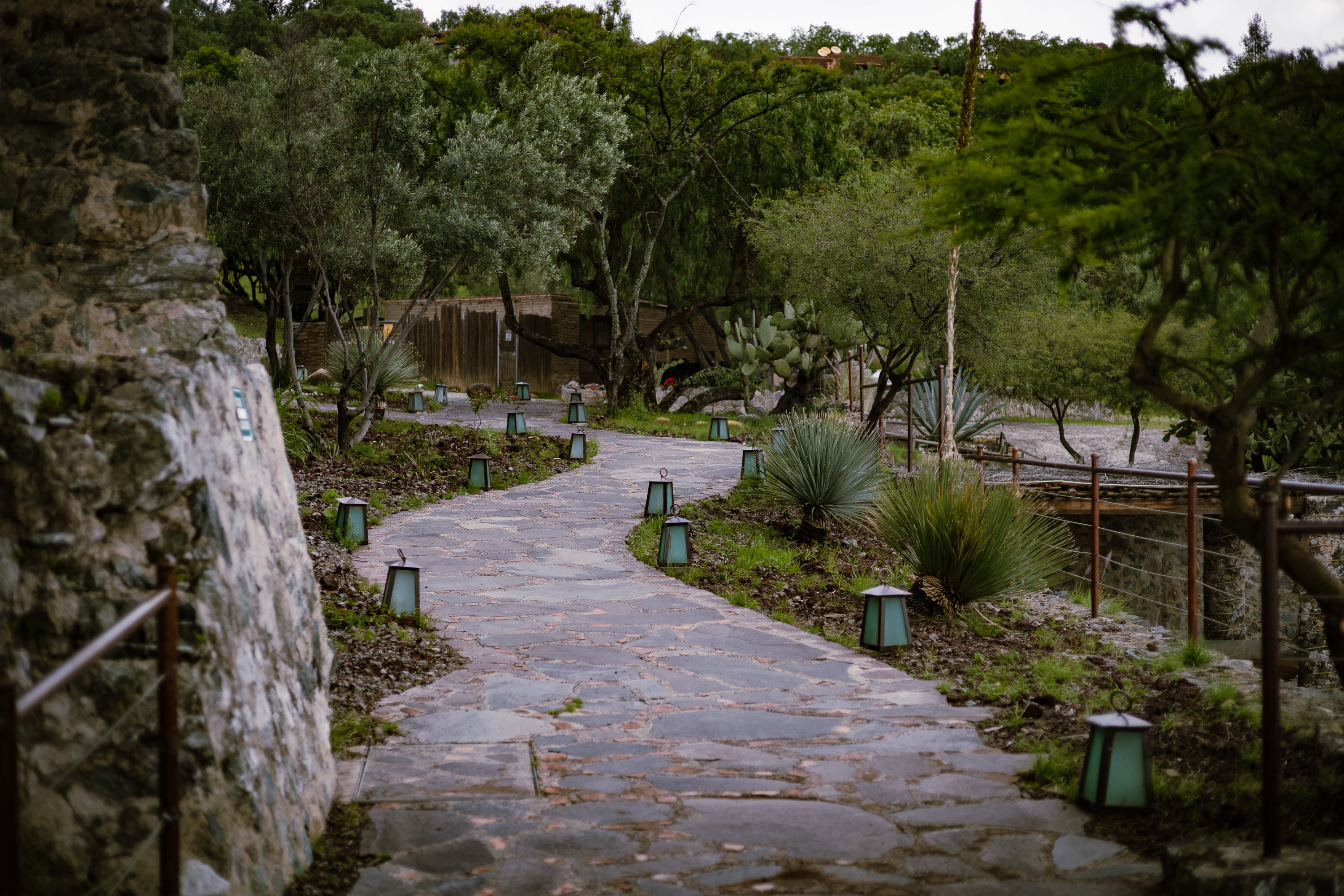 Escenario Terraza Viñedos